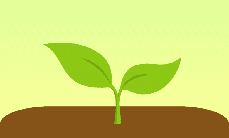 تطبيق forest